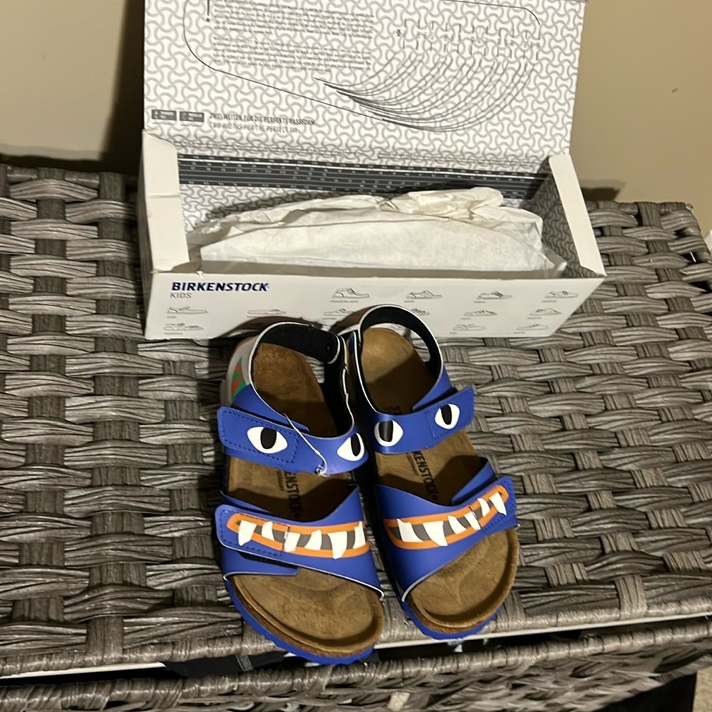 Birkenstocks Brand new in box kids size 2